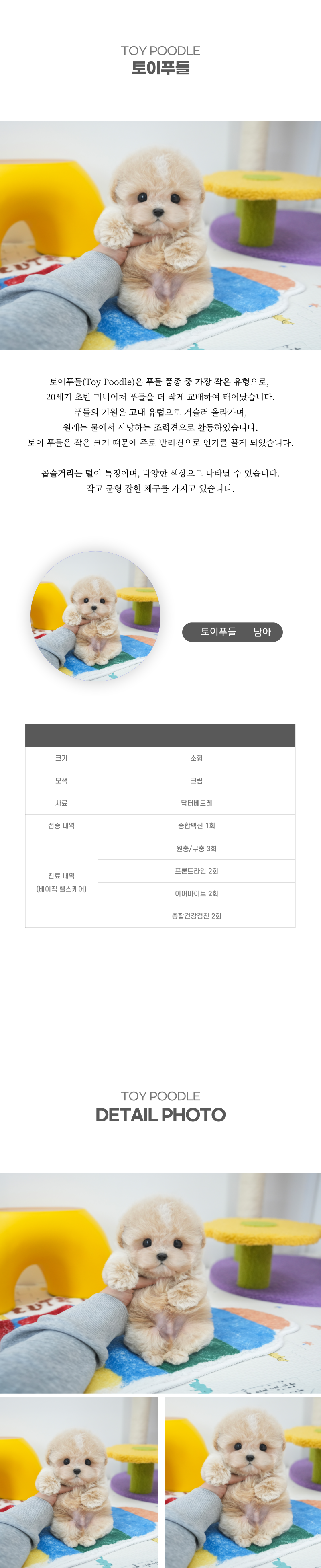 토이푸들_상세이미지_2